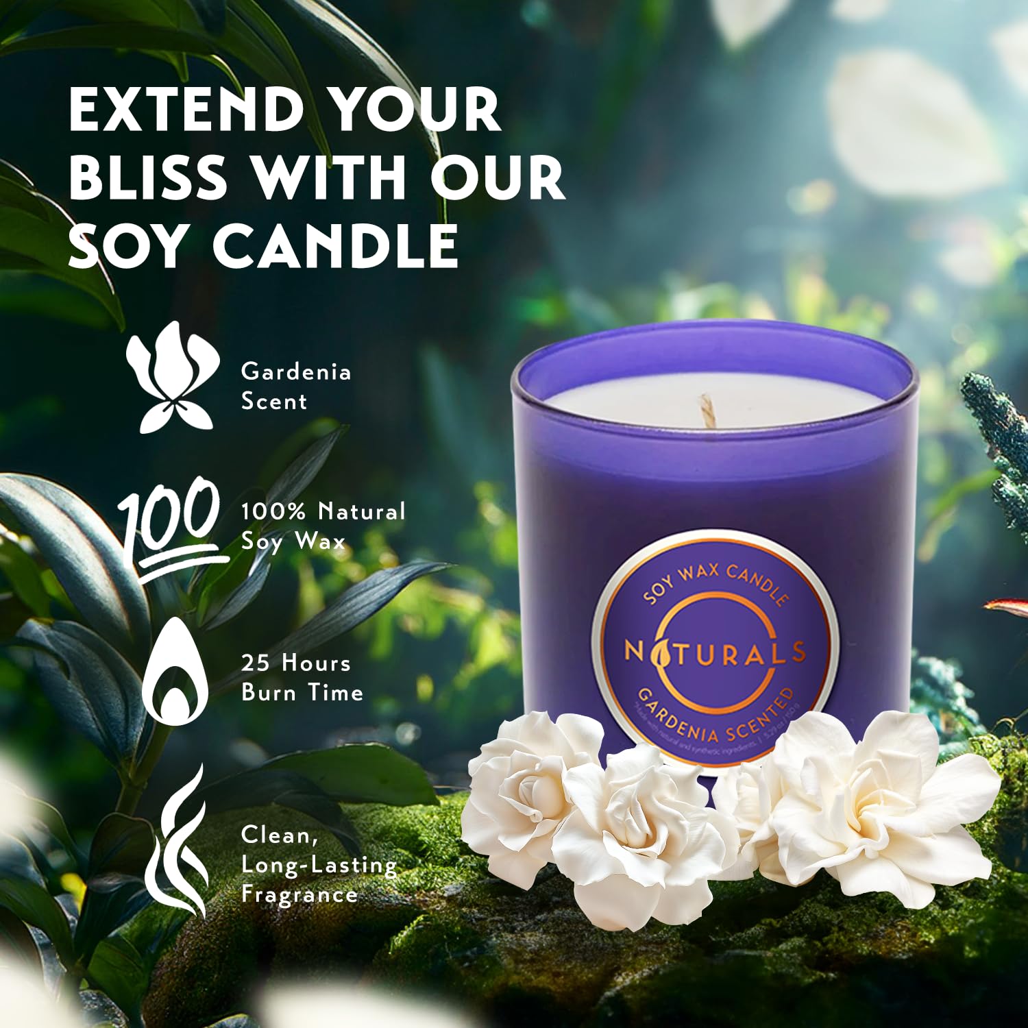 Bombas de Ducha Aromaterapia - Set Relajación y Spa